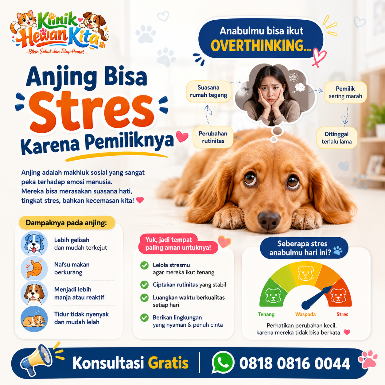 Pemeriksaan anjing di klinik hewan terdekat