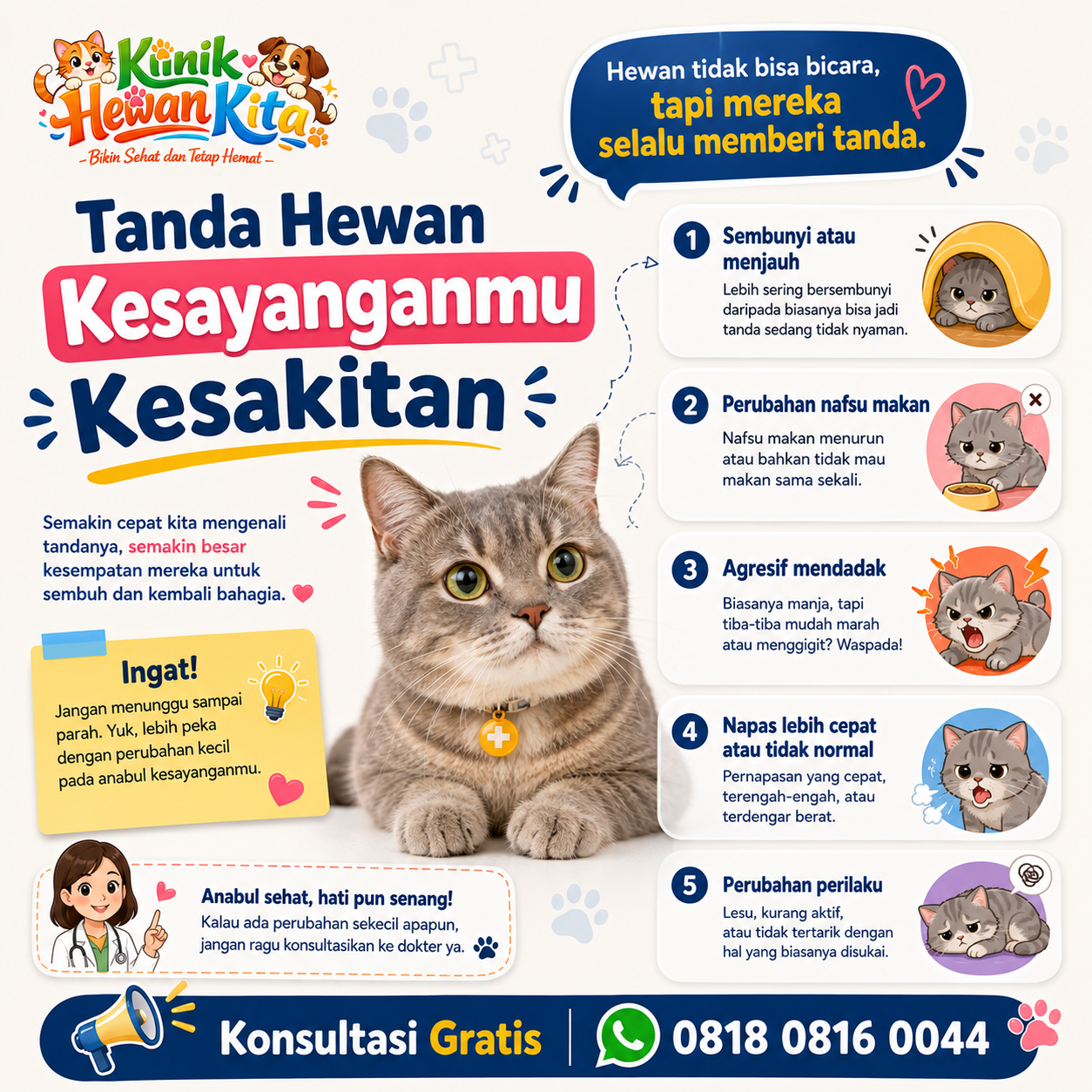Pemeriksaan kucing di klinik hewan terdekat